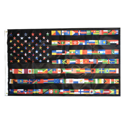 Immigration Nation: Flag